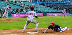 132: AlanToplitz_2026-62