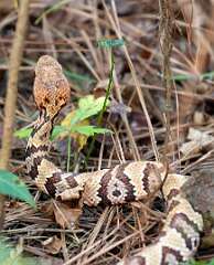 190: BillKirms_2026-233