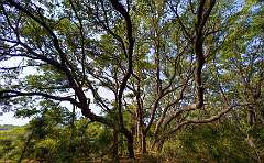 192: BillKirms_2026-235