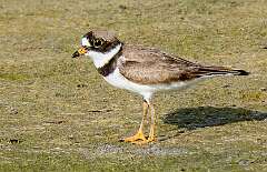 203: BillKirms_2026-246