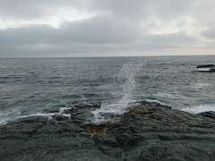 295: MikeGlass_2026-59