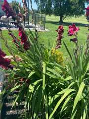 32: BerniceBaline_2026-49