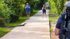 190: BillKirms_2026-268