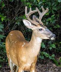 174: BillKirms_2026-269