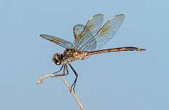 163: BillKirms_2026-270