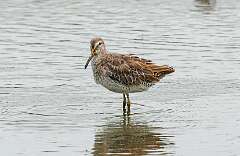 173: MarkShelly_2026-129