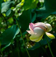 99: WendyTao_2026-143