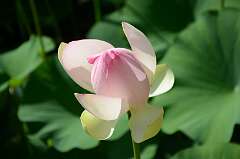 100: Xue-MingBao_2026-187