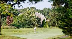 33: golfChampionship_2026-6