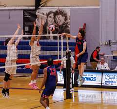 73: MarkShelly_2026-45