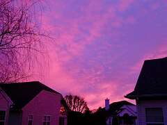 133: MikeGlass_2026-9