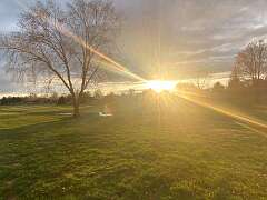 62: BerniceBaline_2026-39