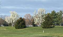 160: BerniceBaline_2026-48