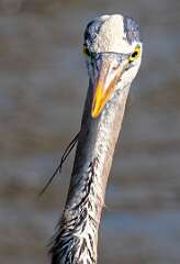 189: BillKirms_2026-145