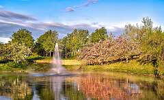 29: BillKirms_2026-162