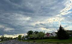 70: CarolAnnManfria_2026-20