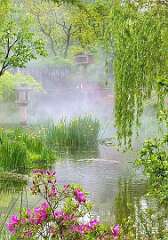 42: WendyTao_2026-52