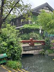 175: WendyTao_2026-65