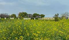 35: Xue-MingBao_2026-57