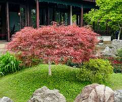 88: Xue-MingBao_2026-62