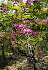 3: BillKirms_2026-171