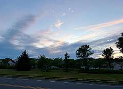 22: CarolAnnManfria_2026-31