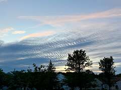 112: CarolAnnManfria_2026-32