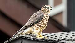 189: BillKirms_2026-300