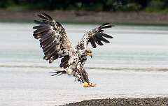 113: BillKirms_2026-324