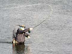 20: BillKirms_2026-345