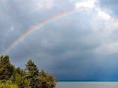 235: BillKirms_2026-346