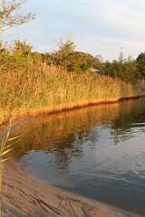 80: DonManfria_2026-223