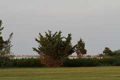 100: DonManfria_2026-226