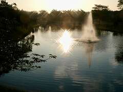4: MikeGlass_2025-8