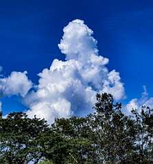 27: AlanToplitz_2025-56