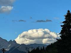 182: DavidWolk_2025-37