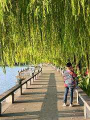 109: Xue-MingBao_2025-19
