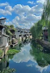 41: wendyTao_2025-34