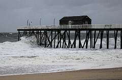 144: AlanToplitz_2025-101