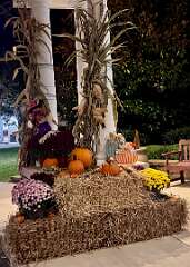 9: AlanToplitz_2025-99