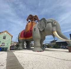 61: BerniceBailine_2025-42