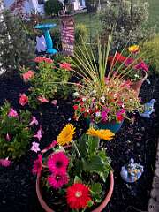 19: BerniceBailine_2025-44