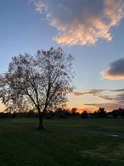 197: BerniceBailine_2025-47