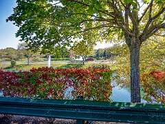 91: BillKirms_2025-259