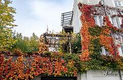 98: BillKirms_2025-287