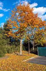 178: BillKirms_2025-312