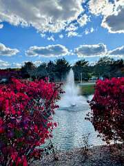 66: CarolAnnManfria_2025-31