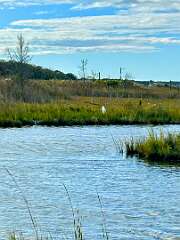 200: CarolAnnManfria_2025-34