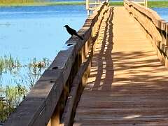 3: DonManfria_2025-258