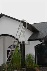 140: DonManfria_2025-263